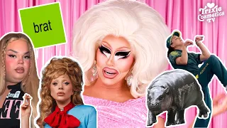 Trixie s Back Let s Catch Her Up On the Internet