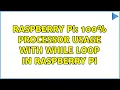Raspberry Pi 100 processor usage with WHILE loop in Raspberry Pi 2 Solutions