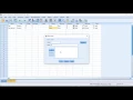 Creating and labeling categorical varibles in IBM SPSS