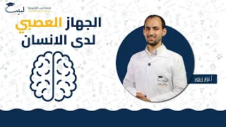الجهاز العصبي لدى الإنسان الصف التاسع العلوم أ نزار زرزور منصة لبيب التعليمية 