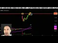 Top 10 Stocks For December 15 2025 YCBD CGC TLRY SOXS NVDA and more