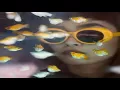 Ali Farahani - Keep Smoking (San Miguel's Smoky Heaven Remix)
