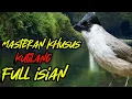 Download Lagu masteran kutilang gacor full isian mewah