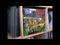 Scientist - Your Teeth In My Neck [GREL 25]