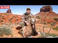 Трофейная охота в Техасе. Красный Баран. 🦂