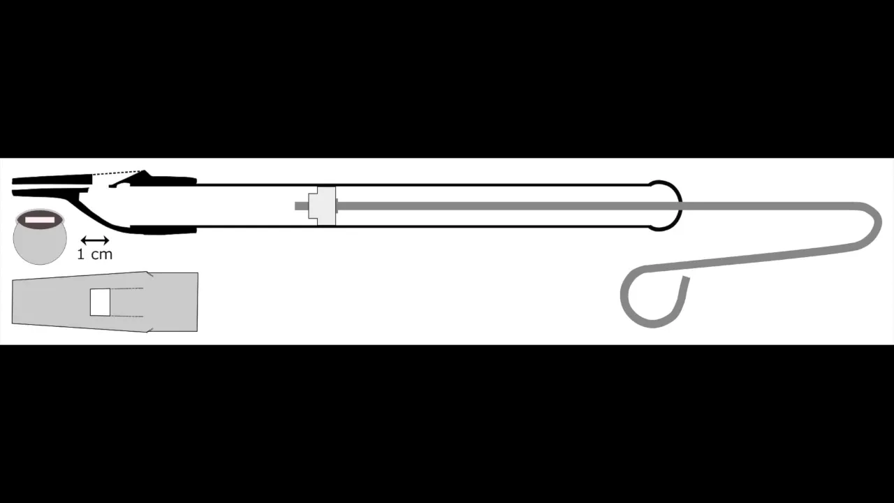 Continuous Slide Whistle | Random Noise