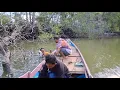 Download Lagu KESERUAN MANCING DI MUARA BERSAMA KAWAN BANYAK HASILNYA, UMPAN UDANG HIDUP