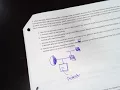 Genetics Practice Problems Review