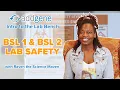 BSL 1 BSL 2 Safety - Intro to the Lab Bench