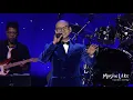 Download Lagu Lỗi Lầm - Phan Đình Tùng \u0026 Fans
