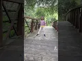 Download Lagu #dancing #havingfun #playtime #entertainingvideos Baby Vanesa dancing.
