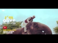 Download Lagu Maher Zain - I'm Alive (Trailer) Download Lagu Maher Zain - I'm Alive (Trailer)