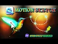 Animating Smooth Bird Flight with After Effects Motion Sketch Tool Hidden Gem Tutorial After Effects