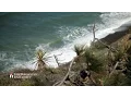 SDSU Plant Systematics