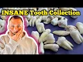 INSANE TOOTH COLLECTION Found In A Storage Unit