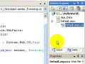 01 Getting Started with Visual Web Developer 2005 Express Edition