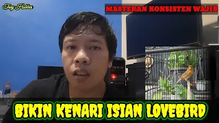 Download CARA BIKIN BURUNG KENARI ISIAN LOVEBIRD MP3