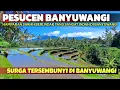 Lagu DESA WISATA TERINDAH DI JAWA TIMUR | Menikmati Pesona Dusun Pesucen Banyuwangi yang Indah \u0026 Menawan