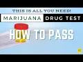 PASS PASS PASS your DRUG TEST EVERY-TIME