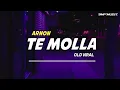Download Lagu DJ TE MOLLA - ARNON SOUND OLD (VIRAL TIKTOK) FULL BASS !!