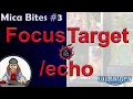 Mica Bites Focus Target and echo