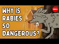 Why is getting bitten by a rabid animal so dangerous - Charles Rupprecht