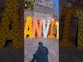 Alphabet Jungle Theme Art Work