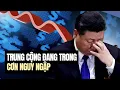 Download Lagu Tình hình Trung cộng đang rối ren_gã khổng lồ Evergrade sụp đổ.