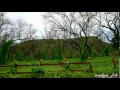 Download Lagu sheikh mishary rashid al afasy surah al-imran