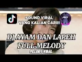 Download Lagu DJ AYAM DAN LAPEH FULL MELODY VIRAL TIKTOK VERSI TERBARU