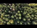 Charlotte de Witte - Wisdom (Original Mix) 432hz