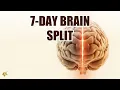 Elevate Your Vibration in 7 Days The Limbic Reset Protocol Age in Reverse