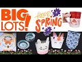 BIG LOTS NEW SPRING DEALS February 28 2026