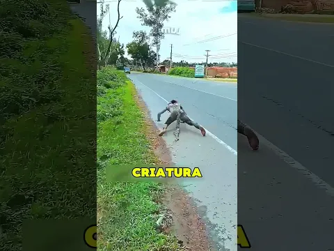 Todos os Animais Saíram Correndo por Isso 😱❤️