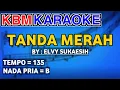 KARAOKE TANDA MERAH - ELVY SUKAESIH ( NADA PRIA )