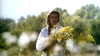 Їхав козак за Дунай повна версія пісні 