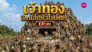 เจ้าทอง ลิงน้อยหัวใจเพชร   ตอนจบ