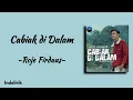 Download Lagu Cabiak Didalam - Roje Firdaus | Lirik Lagu Minang
