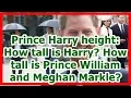 24h News - Prince Harry height How tall is Harry How tall is Prince William and Meghan Markle