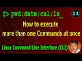 11 How to execute more than one commands at once Linux CLI