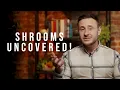 How Long Do Shrooms Stay In Your System