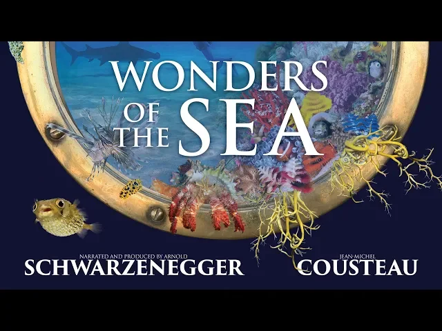 Wonders Of The Sea - Official Trailer