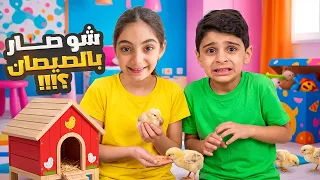 شو صار بالصيصان؟! 🐥😱 أليس فرحت وأنس خاف منهم! 😂