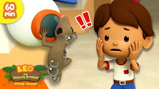 LIZARD HANGING FOR DEAR LIFE Leo Lizards Compilation Leo The Wildlife Ranger Kids Cartoon  LIZARD HANGING FOR DEAR LIFE Leo Lizards Compilation Leo The Wildlife Ranger Kids Cartoon