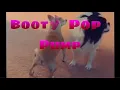 Tony Baker Type Beat - BOOTY POP PUMP