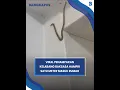 Download Lagu Merinding. Viral Penampakan Kelabang Raksasa Hampir Satu Meter Masuk Rumah