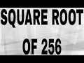 SQUARE ROOT OF 256