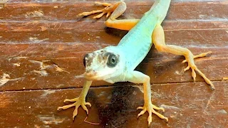 SSL 86 ~ Just a Subtle Reminder….