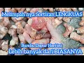 Download Lagu Melimpah nya Sortiran LENGKUAS 🫚⁉️🤠