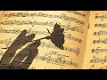 Mariage d'Amour Orchestral Version